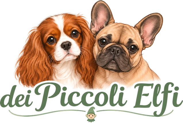 Dei Piccoli Elfi